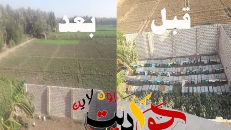 استجابة لـ "حواديت اون لاين" إزالة منحل العسل من سوق البطيخ بقرية سقارة فى البدرشين