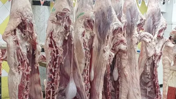 وزير التموين .. بالأمر توفير اللحوم بالمجمعات خلال ايام العيد