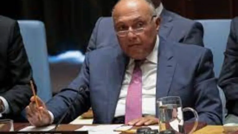 وزير الخارجية : سد النهضة يتسبب فى موت مصر ظمئاً .. يهدد وجود 100 مليون نسمة .. نناشد مجلس الامن حتى لا يتصاعد التوتر