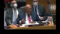 شكرى: في حالة عدم التوصل لاتفاق .. لا يوجد امامنا سوى ان نحمى حقنا الأصيل فى الحياة