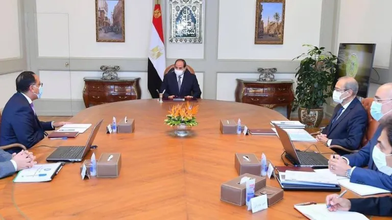 تحت إشراف الحكومة المصرية .. الرئيس السيسى يتابع الموقف التنفيذي لإنشاء سد "جوليوس نيريري" في تنزانيا