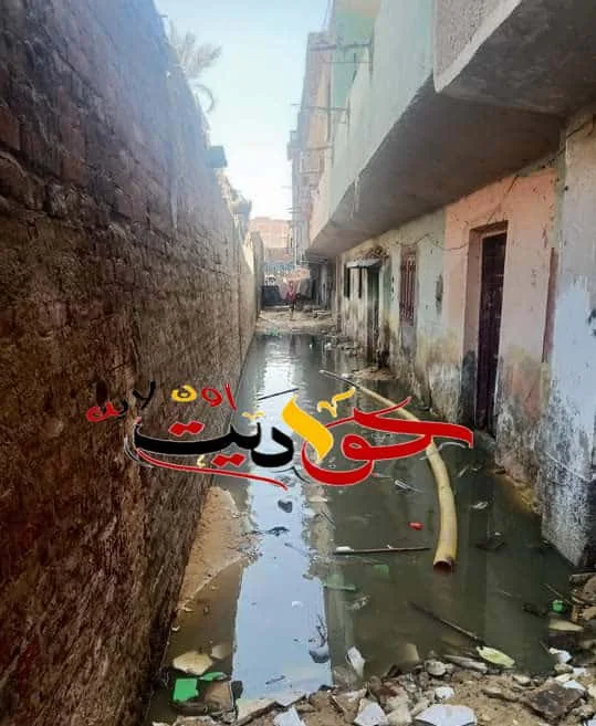 WhatsApp Image 2021-08-10 at 9.04.21 AM