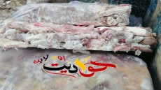 ضبط ما يقرب من 2.5 طن مصنعات لحوم ودواجن وأسماك غير صالحة للإستهلاك الأدمى بعدة مطاعم فى الجيزة