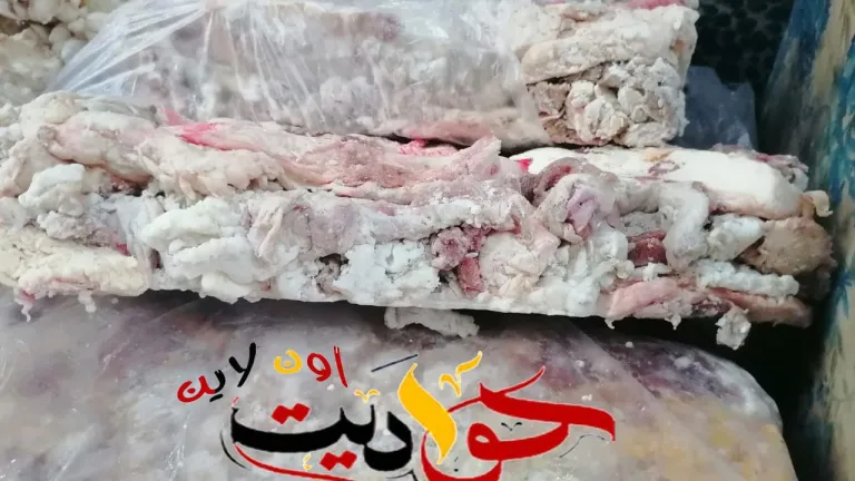 ضبط ما يقرب من 2.5 طن مصنعات لحوم ودواجن وأسماك غير صالحة للإستهلاك الأدمى بعدة مطاعم فى الجيزة