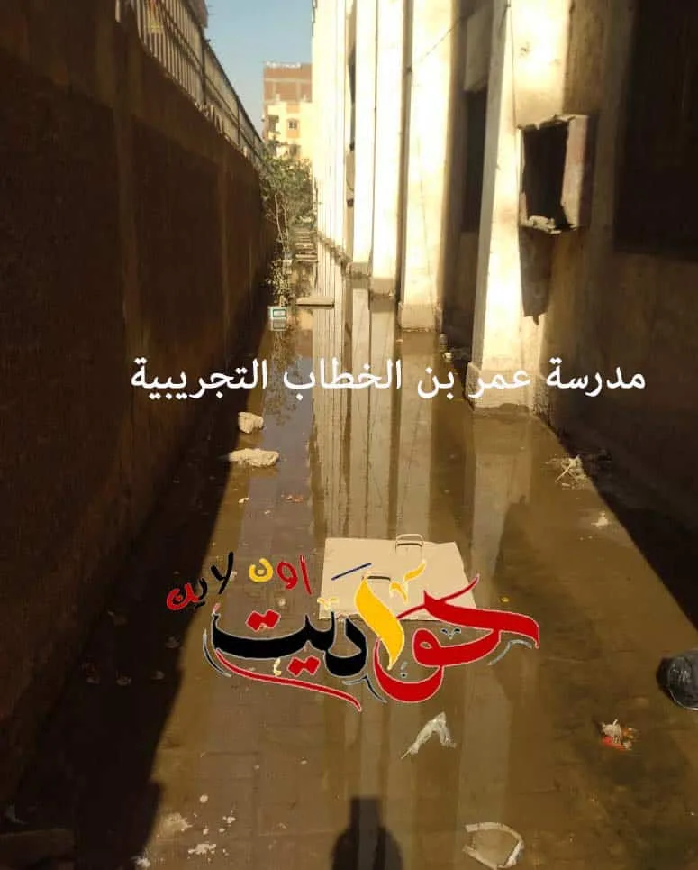 الحوامدية
