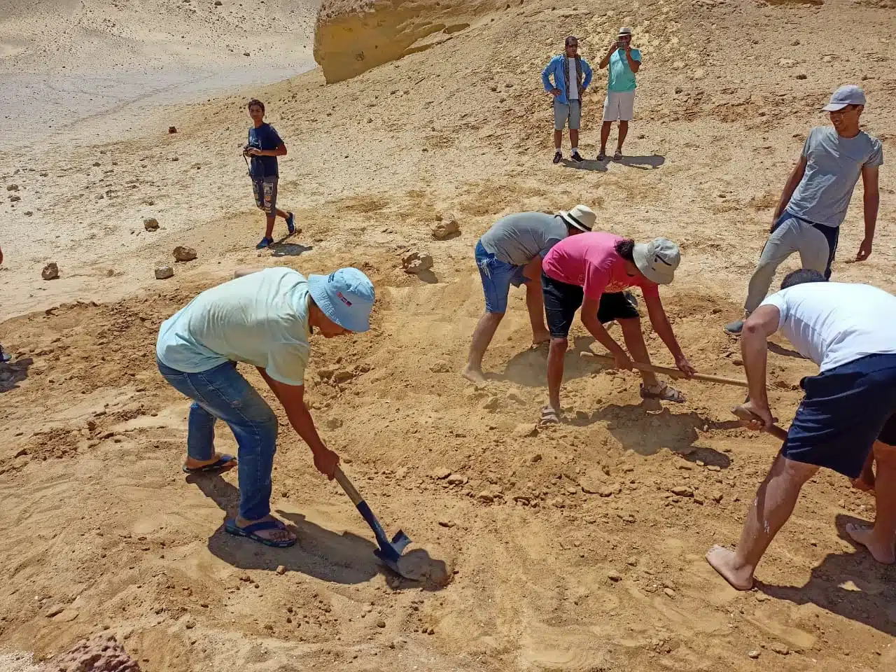 البيئة تنظم تدريبا لإعداد كوادر شابة في مجال إكتشاف وصيانة الحفريات للعام الثالث على التوالى