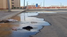 بالصور .. منطقة الـ 800 فدان باكتوبر الجديدة تستغيث فهل من مجيب