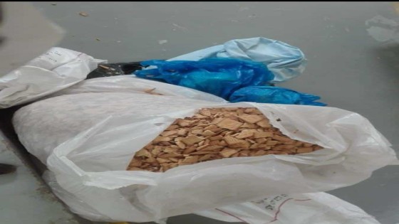 ضبط مصنع شهير يعيد تدوير البسكويت الغير صالح للبيع فى قرية منيل شيحة التابعة لمركز ابو النمرس