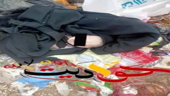 العثور علي جثة رضيع حديث الولادة مخنوق وأحشائه خارج البطن وسط القمامة فى الحوامدية .. المباحث تكثف جهودها لكشف الغموض
