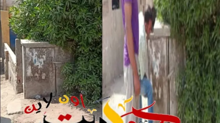 استجابة سريعة لـ "حواديت اون لاين" .. تركيب غطاء لعلبة كهرباء ابو النمرس