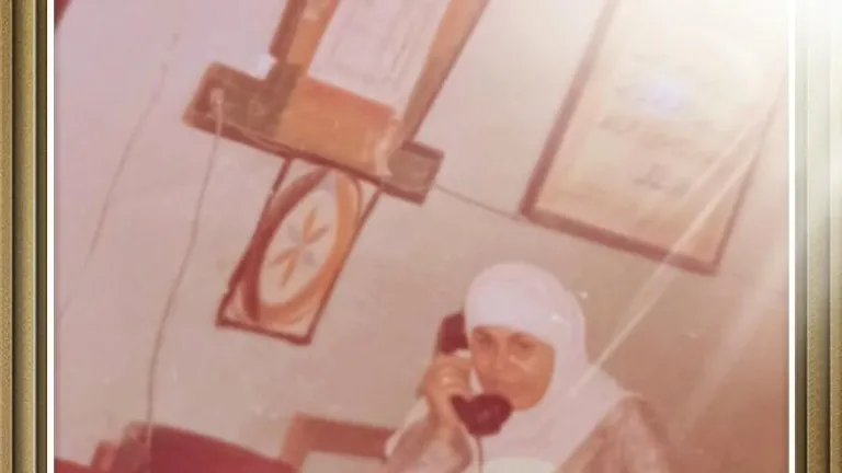 شمس الحوامدية يكتب عن الام الحنون .. عواطف سعد