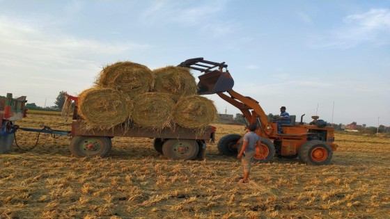 وزيرة البيئة : تجميع ٥ر٣١ ألف طن قش أرز وإجراءات قانونية تجاه ١٢ مزارعا وفحص عادم ١٩٣٧٣ مركبة