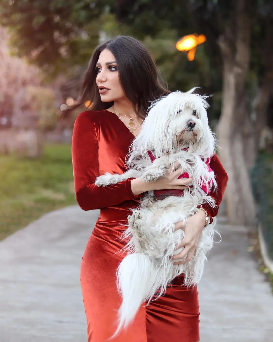 شهادة حق .. الممثلة السورية سارة نخلة عضها كلب .. هذا ما حدث معها فى مستشفى زايد التخصصى