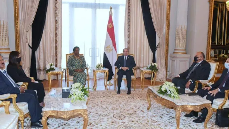 لهذا السبب .. السيسى يلتقى بسكرتير منظمة الكوميسا