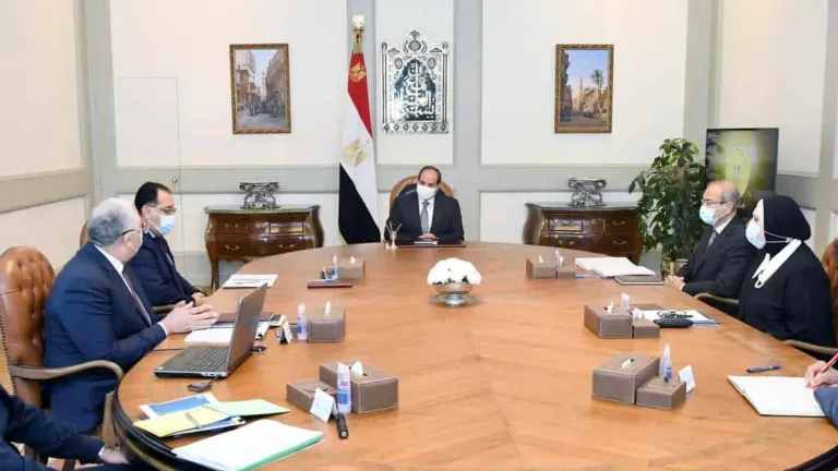 لزيادة الرقعة الزراعية .. السيسى يوجه بتطوير منظومة إنتاج الأسمدة