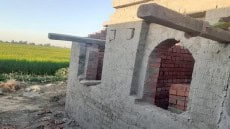 ارشيفية