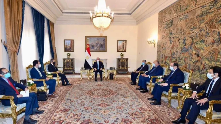 السيسي يلتقي بمدير عام الوكالة الدولية للطاقة الذرية .. مصر تشارك فى مبادرة "أشعة الأمل" لعلاج مرضى السرطان في أفريقيا