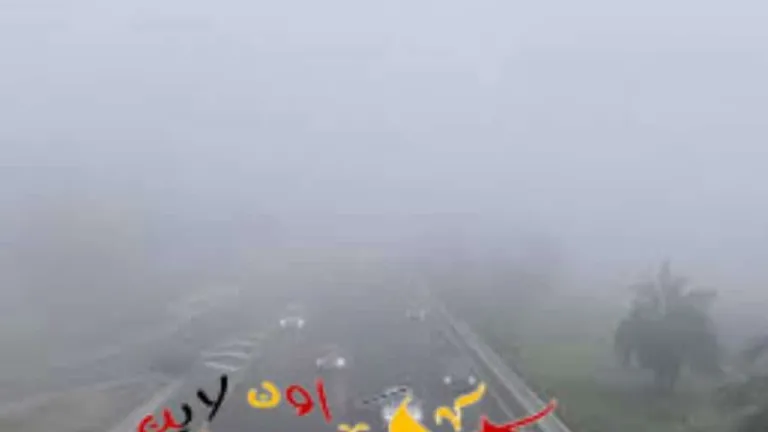 برد الفجر وحر الظهيرة .. طقس متقلب يُربك المصريين هذا الأسبوع!