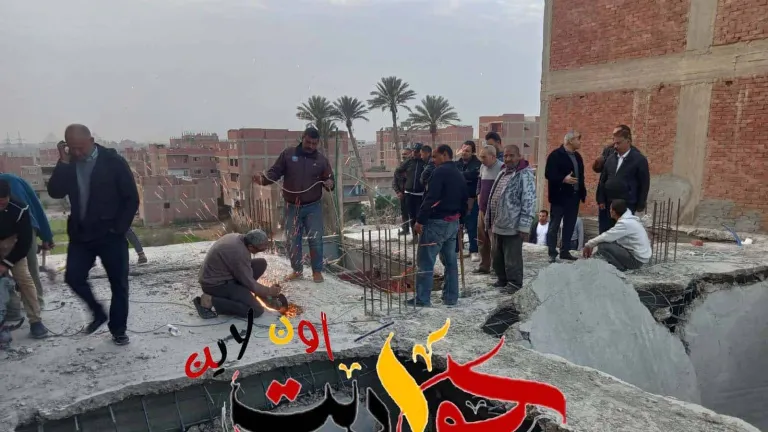 شاهد بالصور .. محافظة الجيزة تزيل منشأت مخالفة بالطالبية وأبو النمرس ومنشأة القناطر