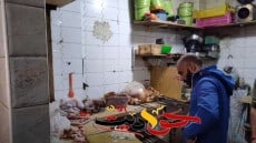 غلق وتشميع مطاعم ومحلات جزارة بحدائق الاهرام .. ضُبط بها لحوم ودواجن غير صالحه للاستخدام الادمي