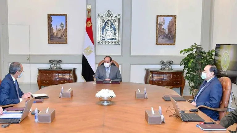 من أجل الرقمنة وتكنولوجيا المعلومات .. الرئيس السيسى يجتمع بهؤلاء القادة