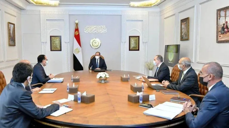 لتوطين صناعة السيارات الكهربائية .. السيسى يعطى توجيهات هامه لهؤلاء المسئولين