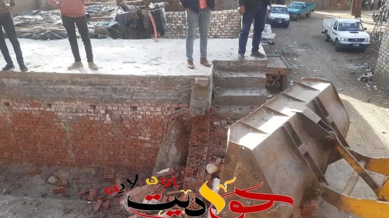الجيزة: إزالة 12 حالة تعدى على الأراضي الزراعية وأملاك الدولة بهذه المراكز .. منهم البدرشين
