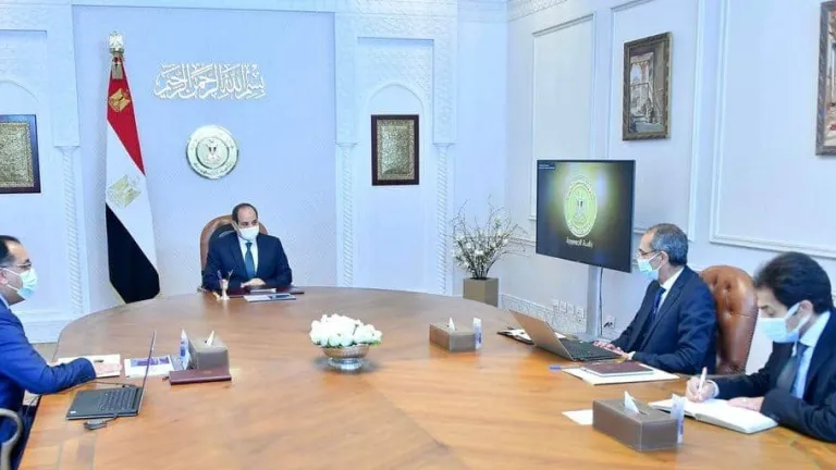 الرئيس السيسى يوجه بالتوسع في التعاون مع الدول الأفريقية بشأن هذا الأمر