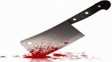 يمزق جسدها بالساطور فى الطالبية .. النيابة تحقق مع المتهم لتكشف اسباب صادمة