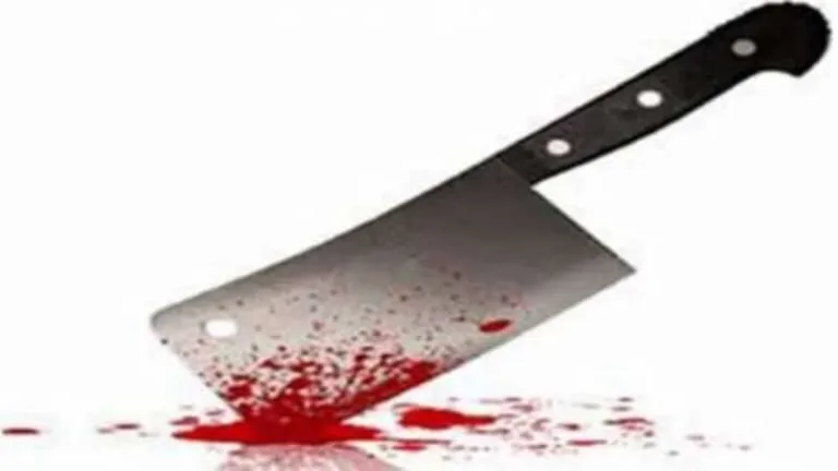 يمزق جسدها بالساطور فى الطالبية .. النيابة تحقق مع المتهم لتكشف اسباب صادمة