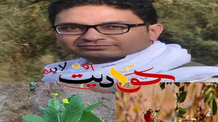45 نباتا متوطنا بمصر تواجه خطر الانقراض أمام تغيرات المناخ.. هل يوجد طريقة لحمايتها؟