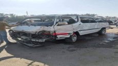 ارشيفية