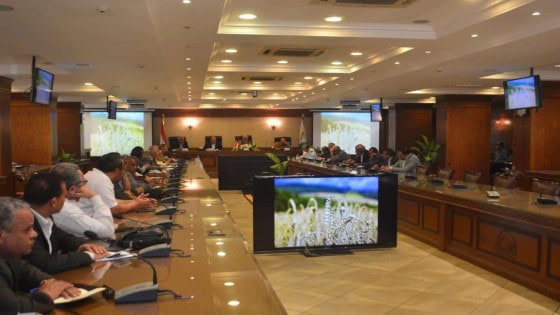 توجيهات هامه من محافظ الجيزة لمديرية الزراعة بشأن توريد القمح هذا العام .. فما هى