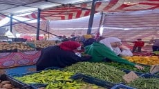 الجيزة تقيم ٢٠ منفذ لبيع الخضروات والفاكهة بسعر الجملة بهذه المراكز منهم البدرشين