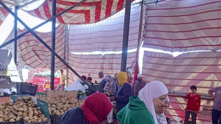 الجيزة تقيم ٢٠ منفذ لبيع الخضروات والفاكهة بسعر الجملة بهذه المراكز منهم البدرشين