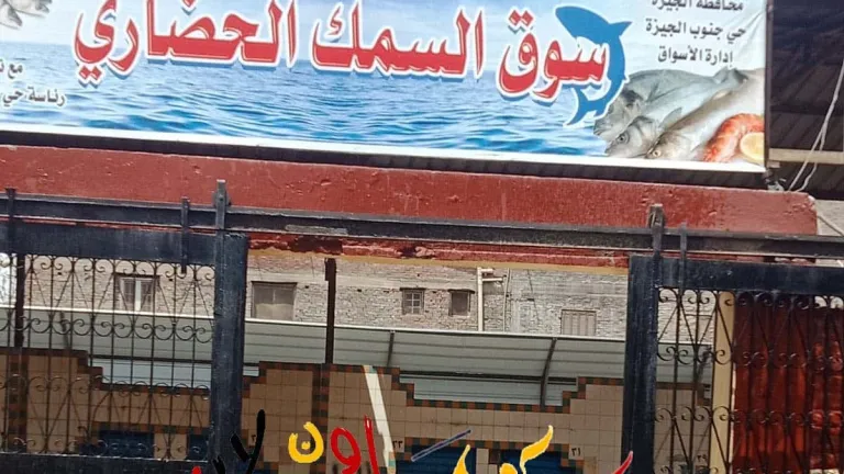 لحين الانتهاء من تطويره .. نقل سوق السمك بالمنيب الى هذا المكان