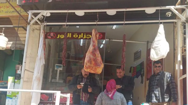 ضبط ما يقرب من 2 طن لحوم ودواجن غير صالحة بهذه الامكان .. محافظ الجيزة يوجه بتكثيف الحملات خلال إجازة العيد