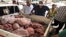 ضبط 800 كيلو لحوم غير صالحة للاستهلاك الادمى بحى الدقى