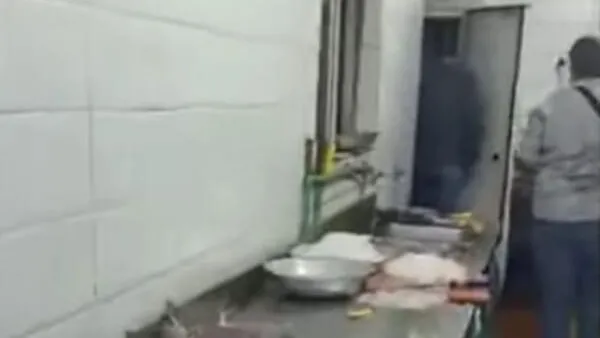ضبط ١٤٠ كجم جمبري غير صالح للاستخدام الادمي بمطعم شهير فى حدائق الاهرام
