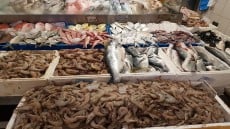 انخفاض الجمبرى وارتفاع البلطى فى سوق العبور .. تعرف على اسعار السمك