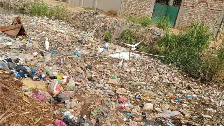 أهالي غمازة الكبرى بالصف يطالبون محافظ الجيزة بالتدخل لحل مشكلة القمامة المتراكمة بالقرية طوال العام