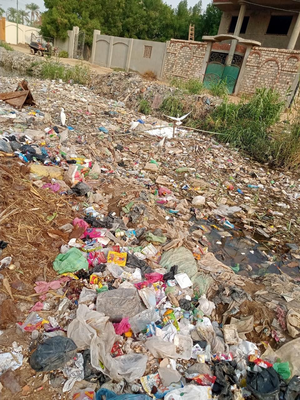 أهالي غمازة الكبرى بالصف يطالبون محافظ الجيزة بالتدخل لحل مشكلة القمامة المتراكمة بالقرية طوال العام