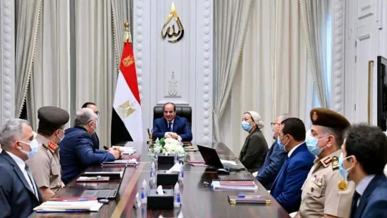 بشأن بحيرة المنزلة .. الرئيس السيسى يوجه بهذه التوجيهات