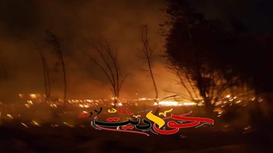 الدفع بـ 20 سيارة اطفاء للسيطرة على حريق هائل داخل ستوديو بقرية شبرامنت بأبو النمرس .. محافظ الجيزة يتابع الموقف لحظة بلحظة .. تعرف على القصة الكاملة