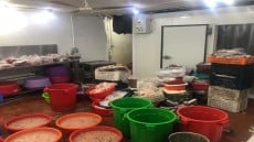 ضبط طن لحوم وشاورما وكفته غير صالحه للاستخدام الادمي بمخزن إعداد وتوزيع بحي الدقي