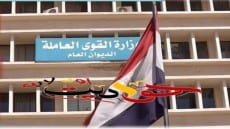 القوى العاملة: 65 شركة خاصة تعلن عن 3612 فرصة عمل في 16 محافظة..منها لذوي الهمم
