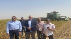 وزير الزراعة .. يشاهد حصاد الفول الصويا وسيلاج الذرة .. تعرف على تفاصيل زيارة مشروع مستقبل مصر