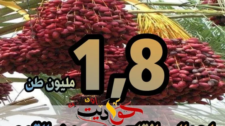 أرقام X الزراعة .. تعرف على انتاج مصر من التمور