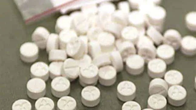 ضبط عاطل بحوزته سلاح ناري وأقراص ترامادول فى البدرشين