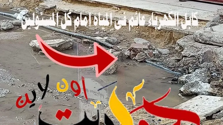 أهالى الحوامدية لـ "محافظ الجيزة" .. أغثنا قبل حدوث الكارثة كابل الكهرباء عائم فى المياه امام كل المسئولين ولم يحرك ساكناً ونحن فى بداية العام الدراسى